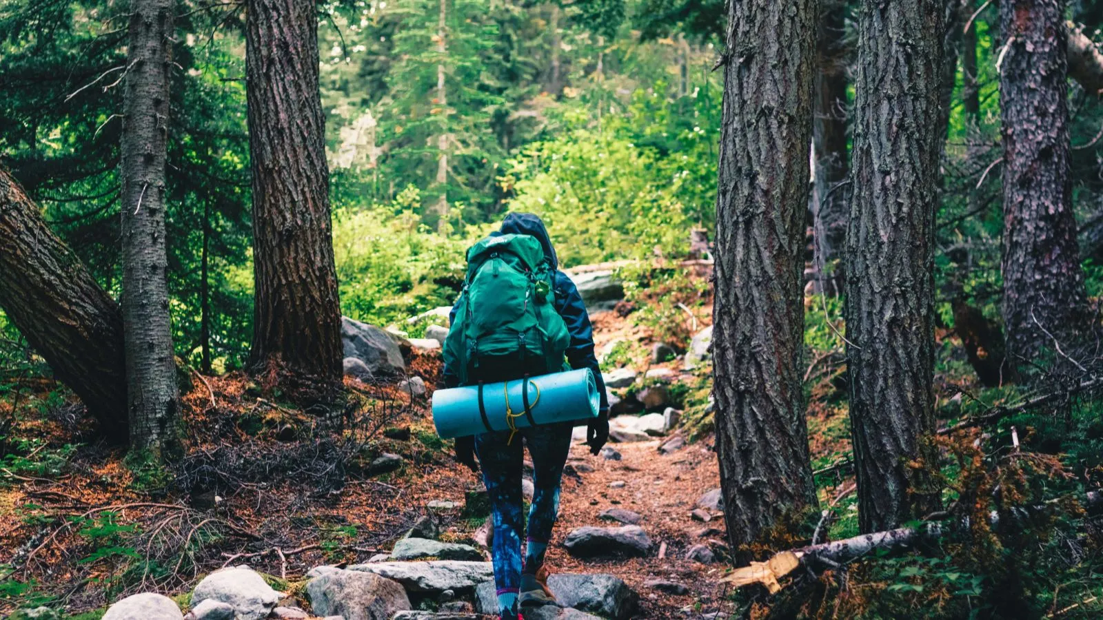 best hiking gear