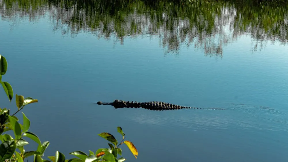 Everglades National Park, Florida