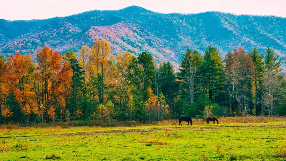 Great Smoky Mountains National Park, Tennessee & North Carolina