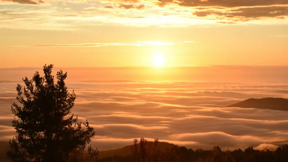 Shenandoah National Park, Virginia - East Coast National Parks