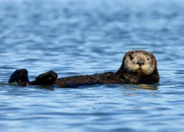 California pretty state in the USA