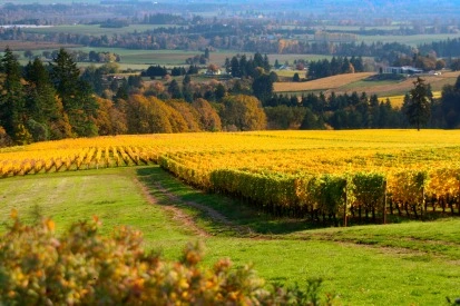 Willamette Valley