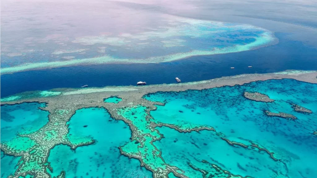 The Great Barrier Reef, Australia