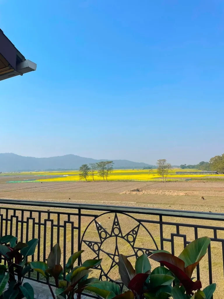 Mayong in Assam