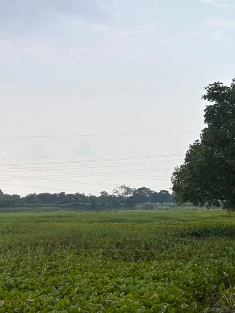Mayong Assam