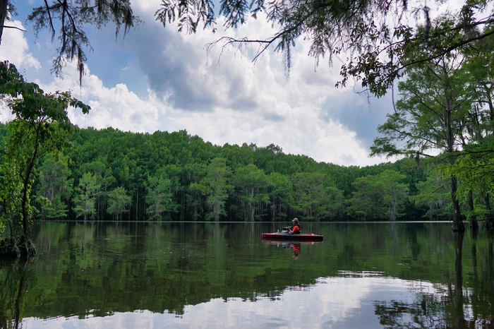 Caddo Lake: Texas’ Best-Known Natural Lake