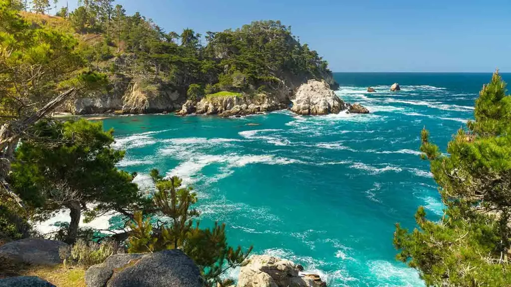 Point Lobos State Natural Reserve