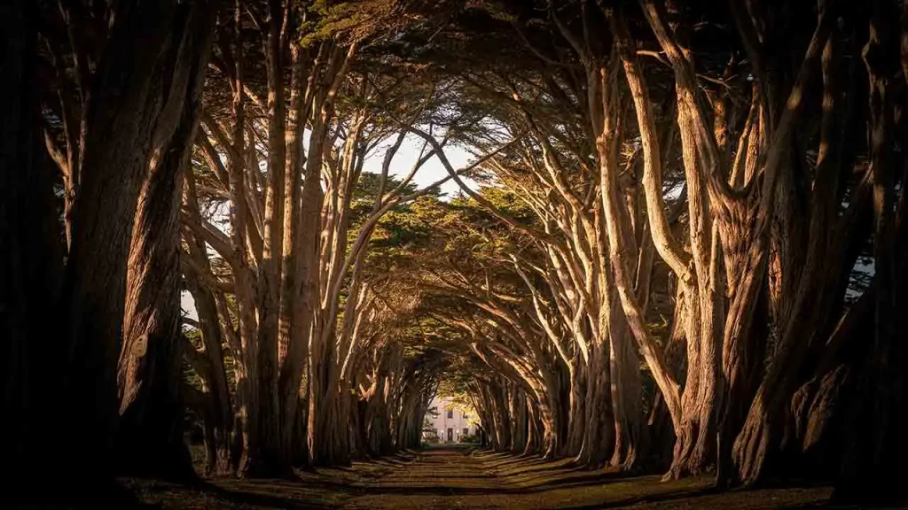 Point Reyes National Seashore