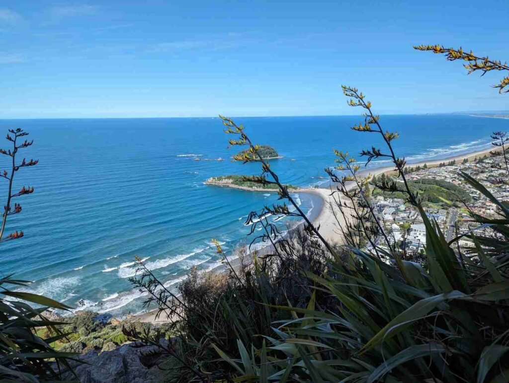 Coastal view over Mount Maunganui Main Beach from the Mauao walking track